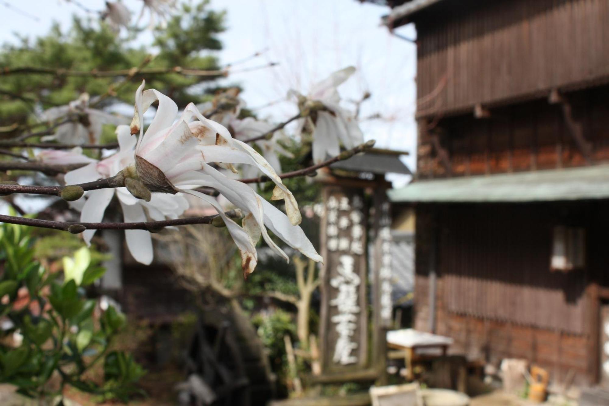 Magome Chaya Hotel Nakatsugawa Eksteriør billede