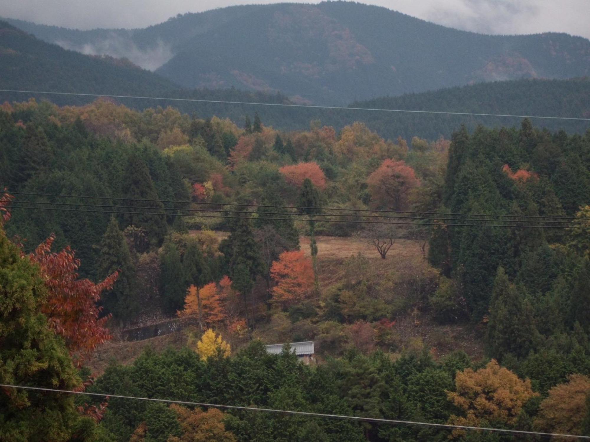 Magome Chaya Hotel Nakatsugawa Eksteriør billede